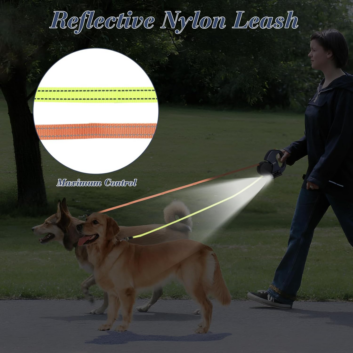 Dual Dog Leash with 360 degree swivel for tangle-free dog walking
