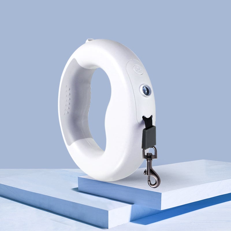 Retractable Cute Dog Leash for Pets