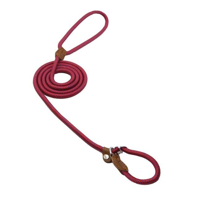 Nylon Pup Set – Adjustable Dog Collar &amp; Lead in Multiple Colors