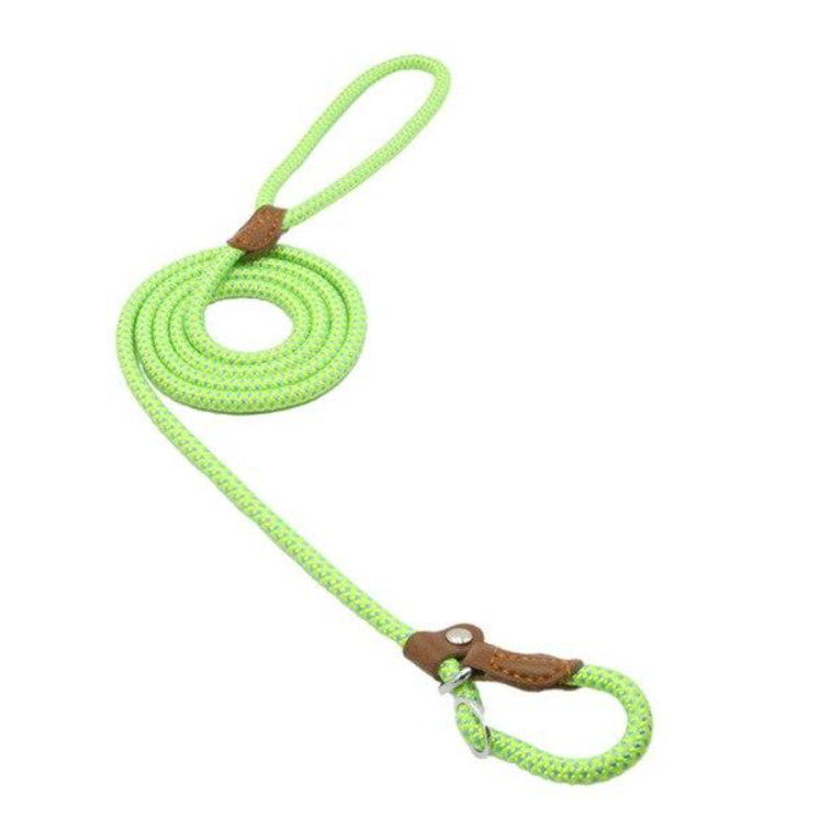 Nylon Pup Set – Adjustable Dog Collar &amp; Lead in Multiple Colors