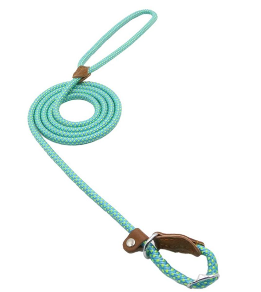 Nylon Pup Set – Adjustable Dog Collar &amp; Lead in Multiple Colors