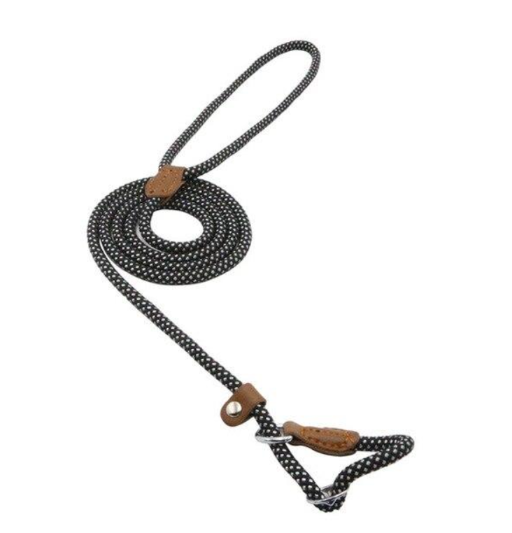 Nylon Pup Set – Adjustable Dog Collar &amp; Lead in Multiple Colors