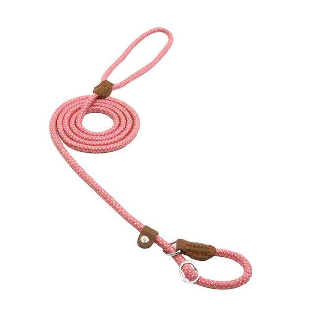 Nylon Pup Set – Adjustable Dog Collar &amp; Lead in Multiple Colors