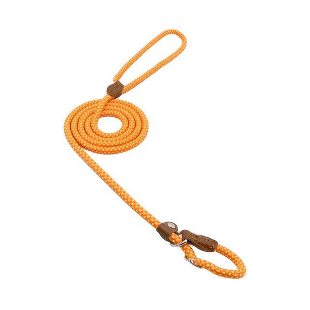 Nylon Pup Set – Adjustable Dog Collar &amp; Lead in Multiple Colors