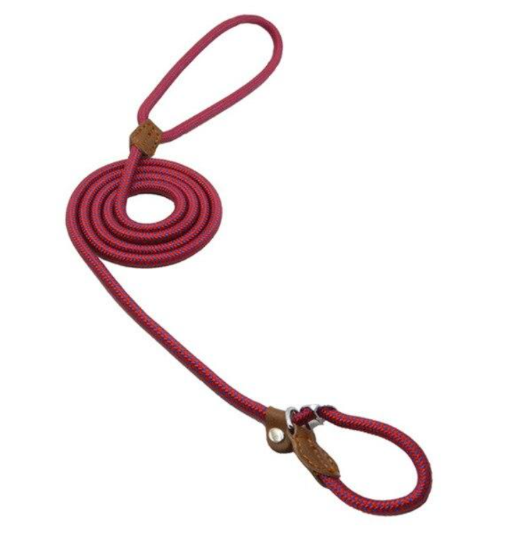 Nylon Pup Set – Adjustable Dog Collar &amp; Lead in Multiple Colors