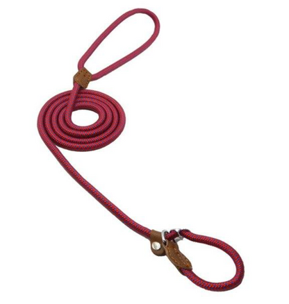 Nylon Pup Set – Adjustable Dog Collar &amp; Lead in Multiple Colors