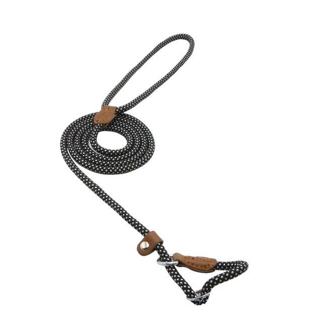Nylon Pup Set – Adjustable Dog Collar &amp; Lead in Multiple Colors