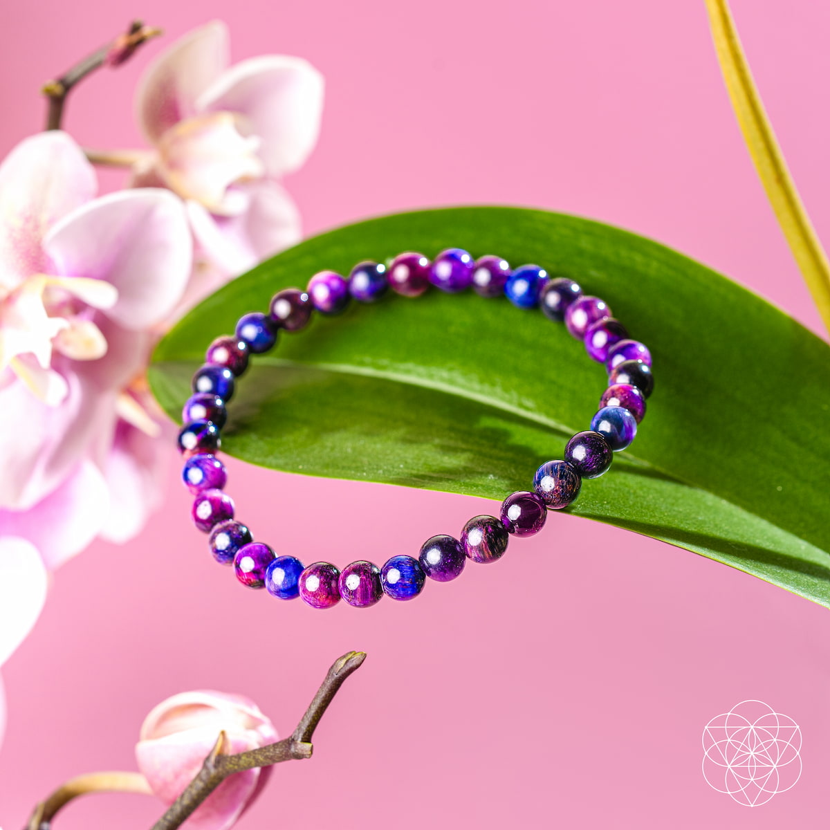 Close-up of Galaxy Tiger&