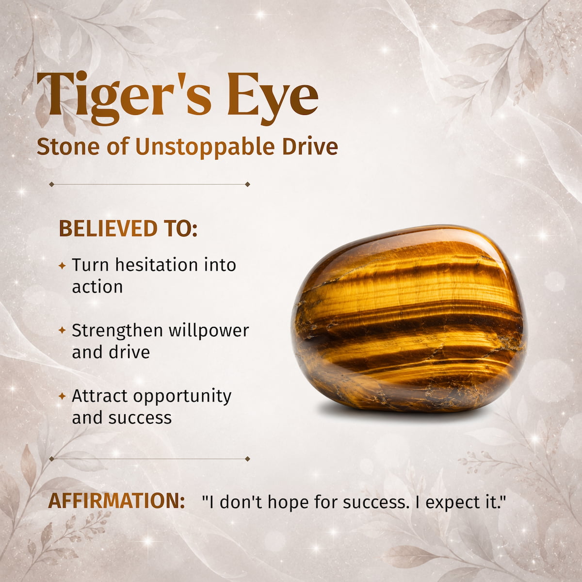 6mm Tiger&