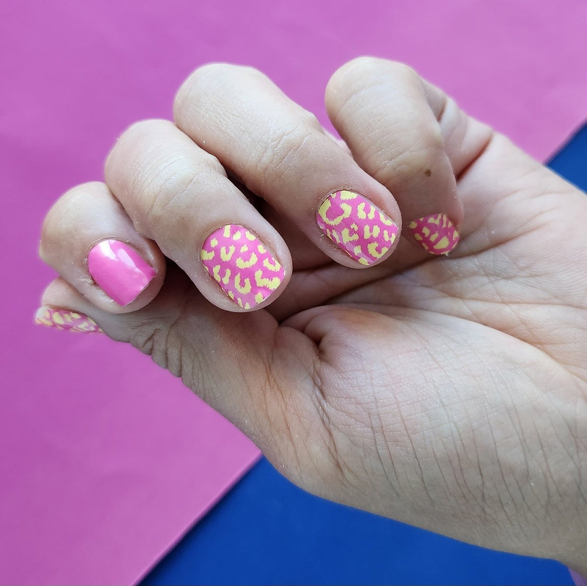 Orange Pink
