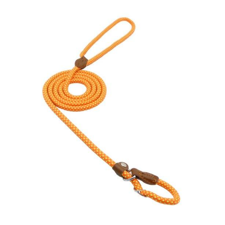 Nylon Pup Set – Adjustable Dog Collar &amp; Lead in Multiple Colors