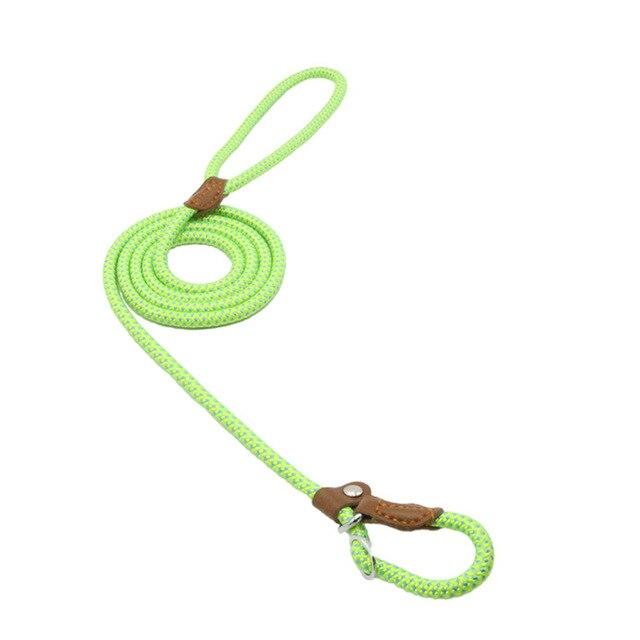 Nylon Pup Set – Adjustable Dog Collar &amp; Lead in Multiple Colors