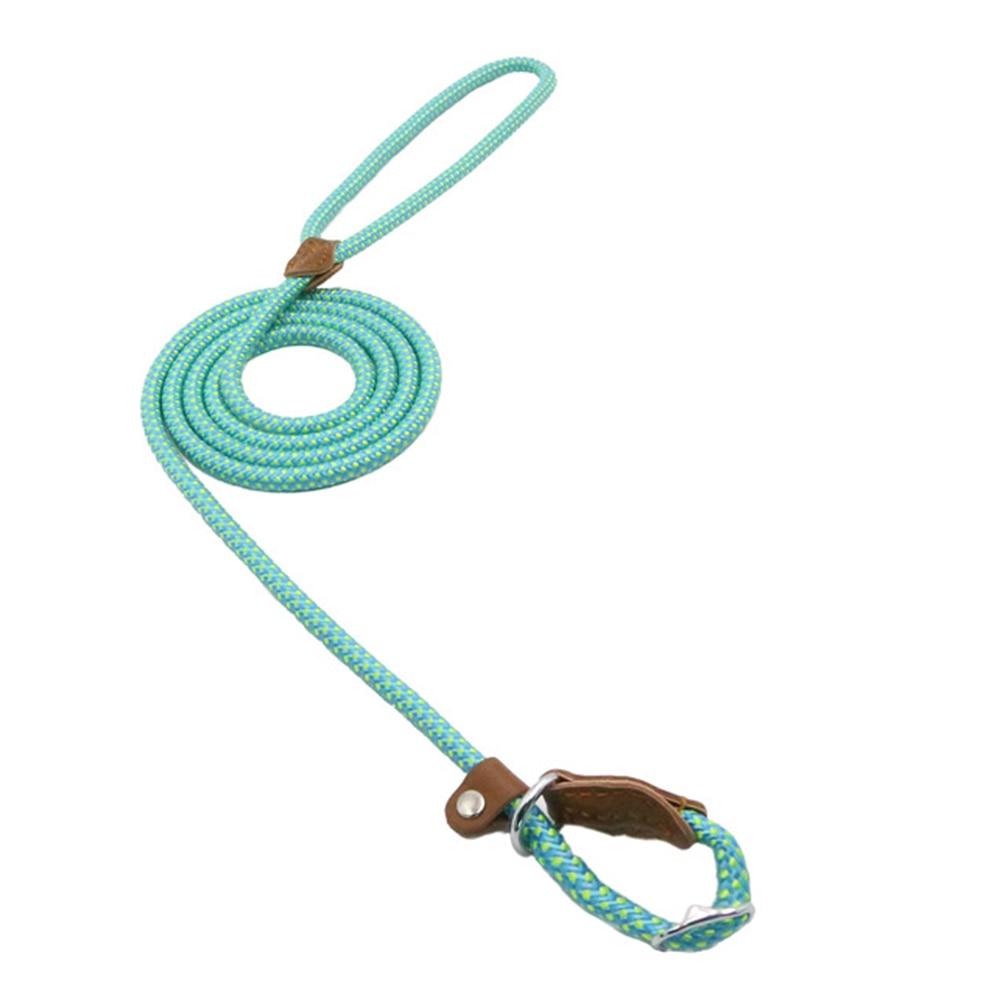 Nylon Pup Set – Adjustable Dog Collar &amp; Lead in Multiple Colors