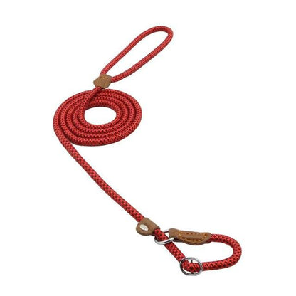 Nylon Pup Set – Adjustable Dog Collar &amp; Lead in Multiple Colors